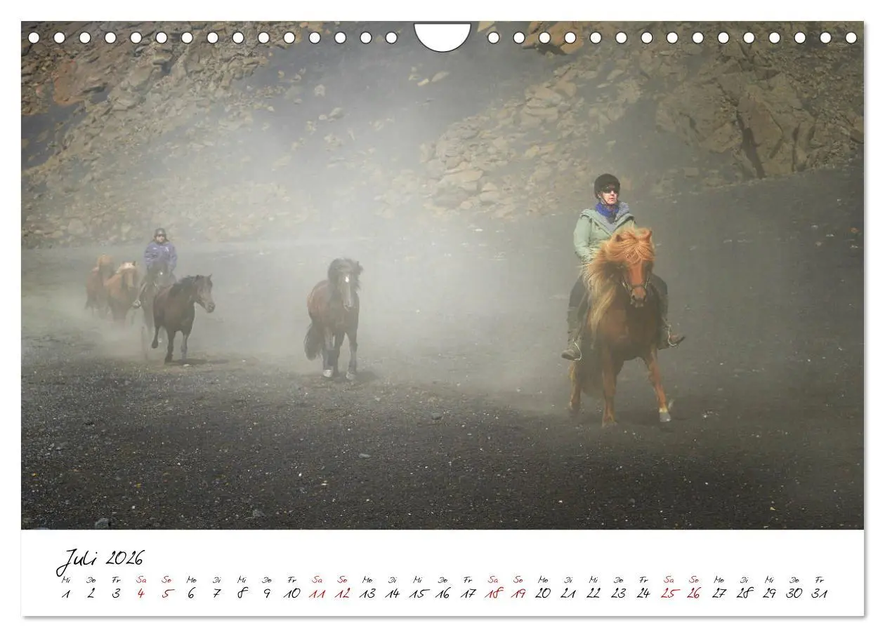 Bild: 9783457924006 | Islandpferde take it Isi (Wandkalender 2026 DIN A4 quer), CALVENDO...