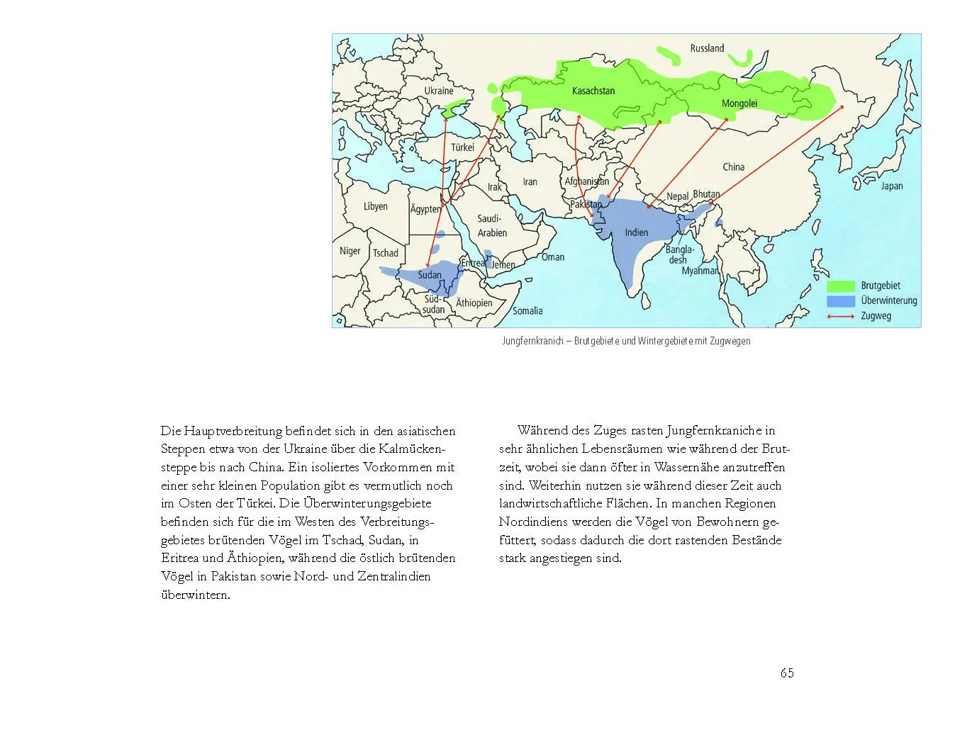 Bild: 9783895664106 | Die Kraniche der Welt | Christopher Schmidt | Buch | 176 S. | Deutsch