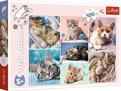 Cover: 5900511164206 | Katzenwelt (Kinderpuzzle) | Spiel | In Spielebox | 16420 | Deutsch