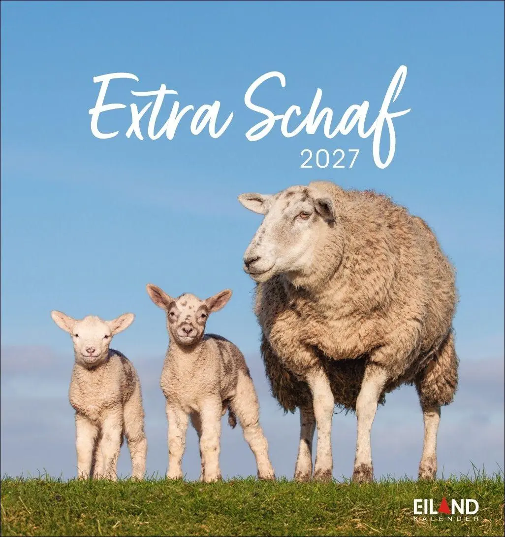 Cover: 9783964024206 | Extra Schaf Postkartenkalender 2027 | Eiland | Kalender | 13 S. | 2027
