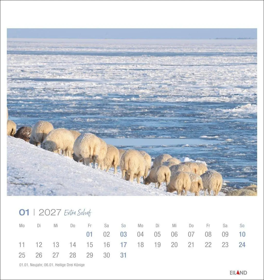 Bild: 9783964024206 | Extra Schaf Postkartenkalender 2027 | Eiland | Kalender | 13 S. | 2027