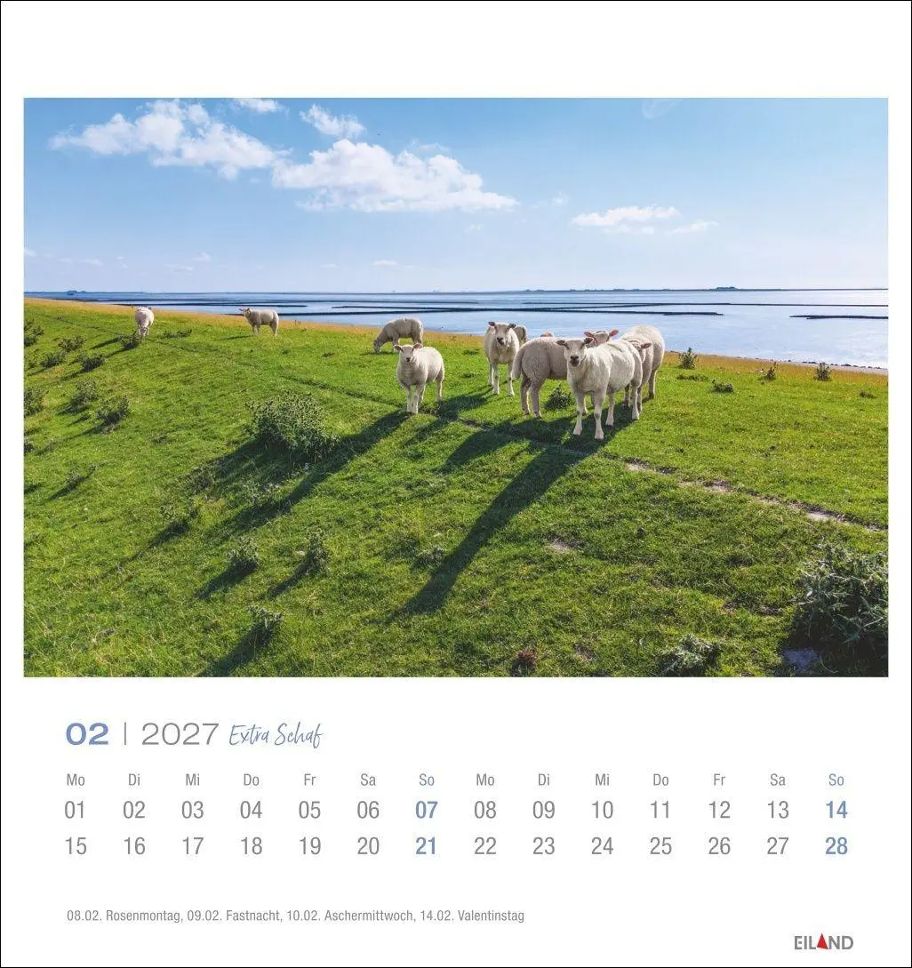 Bild: 9783964024206 | Extra Schaf Postkartenkalender 2027 | Eiland | Kalender | 13 S. | 2027