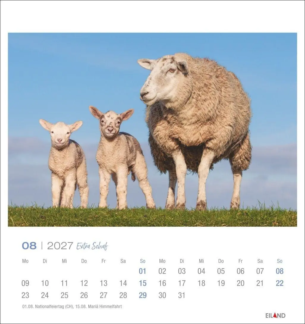 Bild: 9783964024206 | Extra Schaf Postkartenkalender 2027 | Eiland | Kalender | 13 S. | 2027