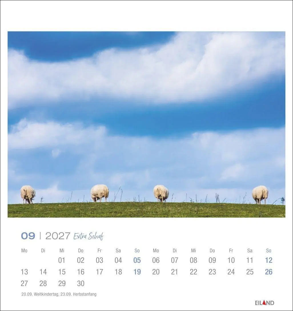 Bild: 9783964024206 | Extra Schaf Postkartenkalender 2027 | Eiland | Kalender | 13 S. | 2027