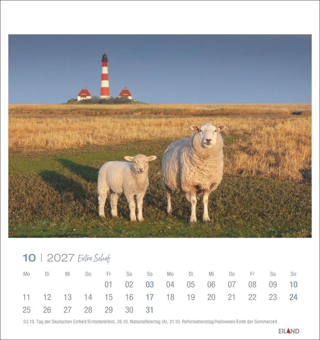 Bild: 9783964024206 | Extra Schaf Postkartenkalender 2027 | Eiland | Kalender | 13 S. | 2027