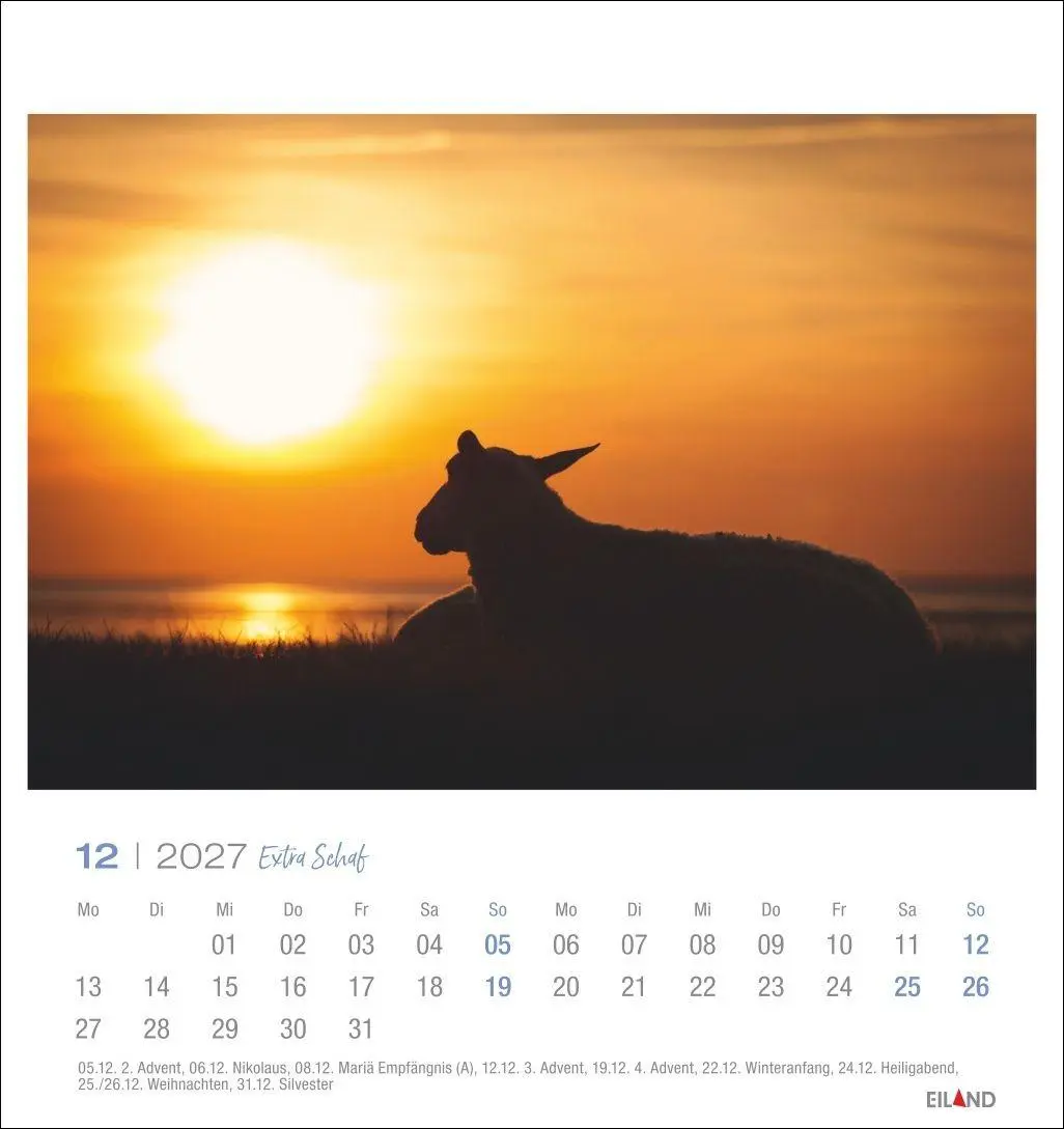 Bild: 9783964024206 | Extra Schaf Postkartenkalender 2027 | Eiland | Kalender | 13 S. | 2027