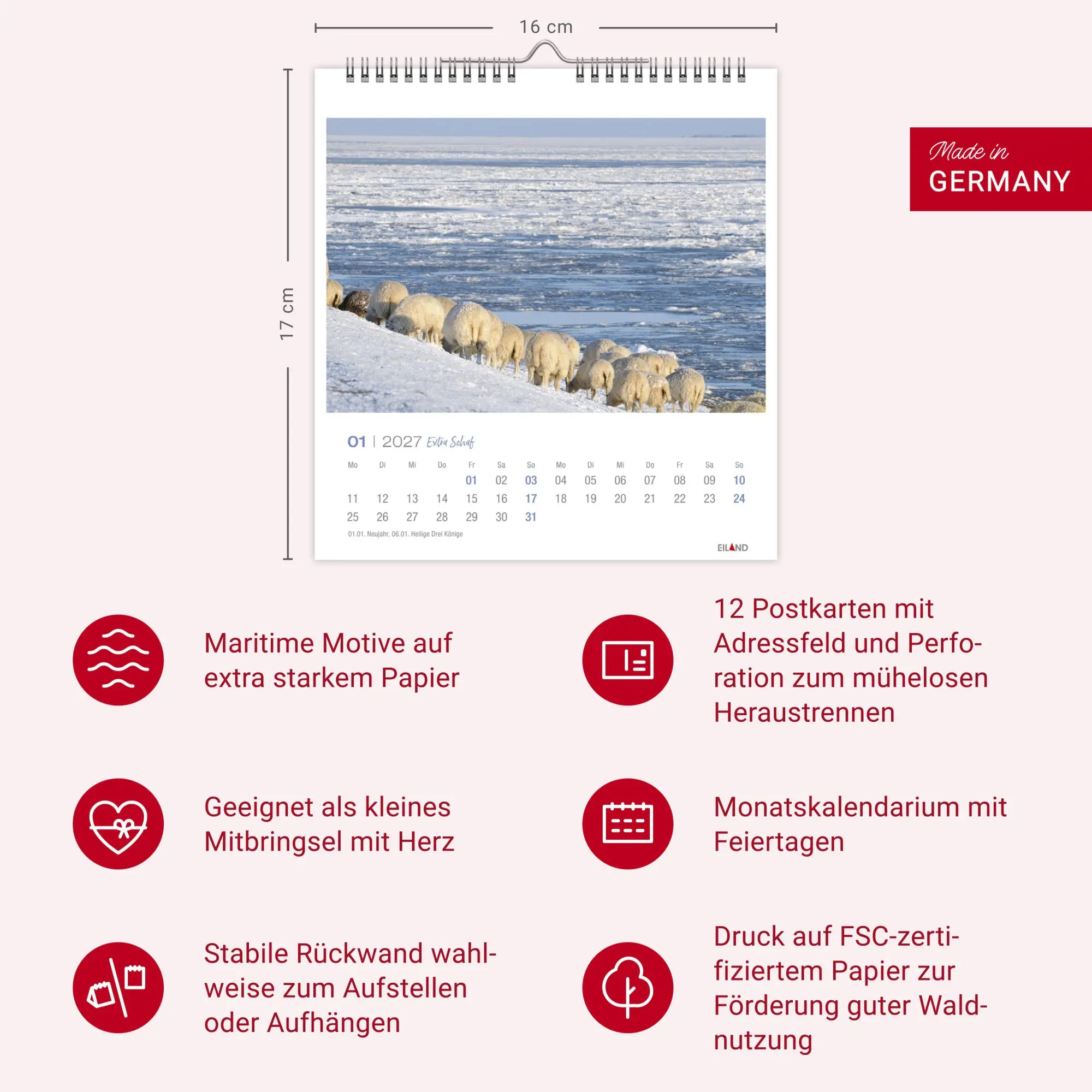 Bild: 9783964024206 | Extra Schaf Postkartenkalender 2027 | Eiland | Kalender | 13 S. | 2027