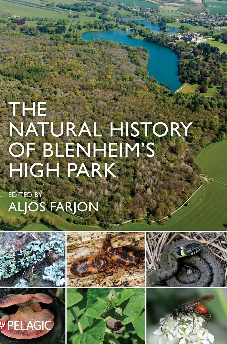 Cover: 9781784274306 | The Natural History of Blenheim's High Park | Aljos Farjon | Buch