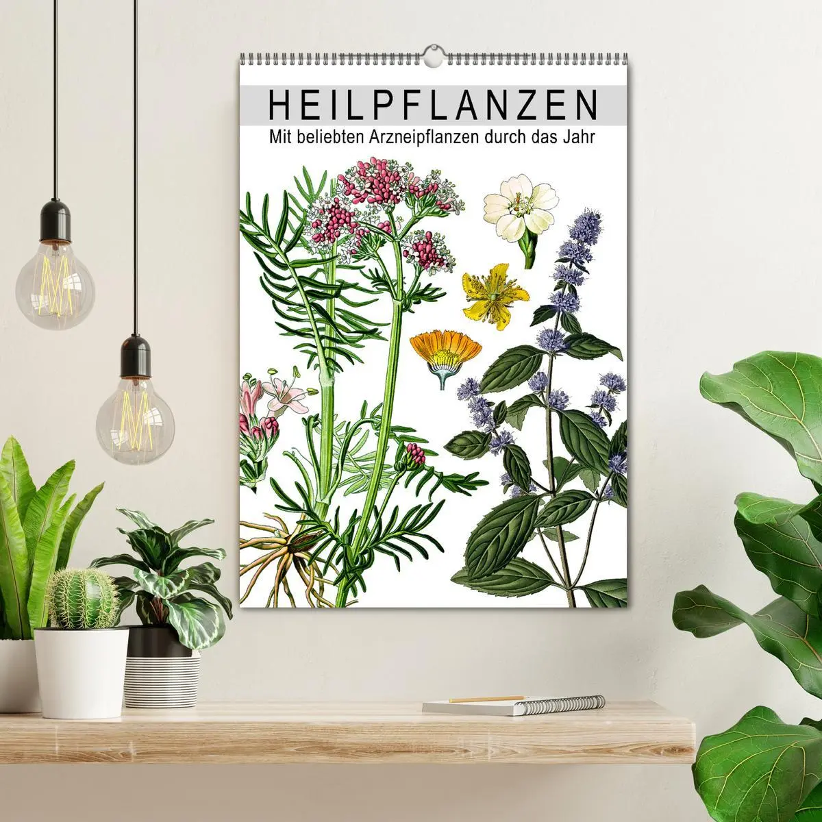 Bild: 9783516464306 | Heilpflanzen (Wandkalender 2026 DIN A2 hoch), CALVENDO Monatskalender