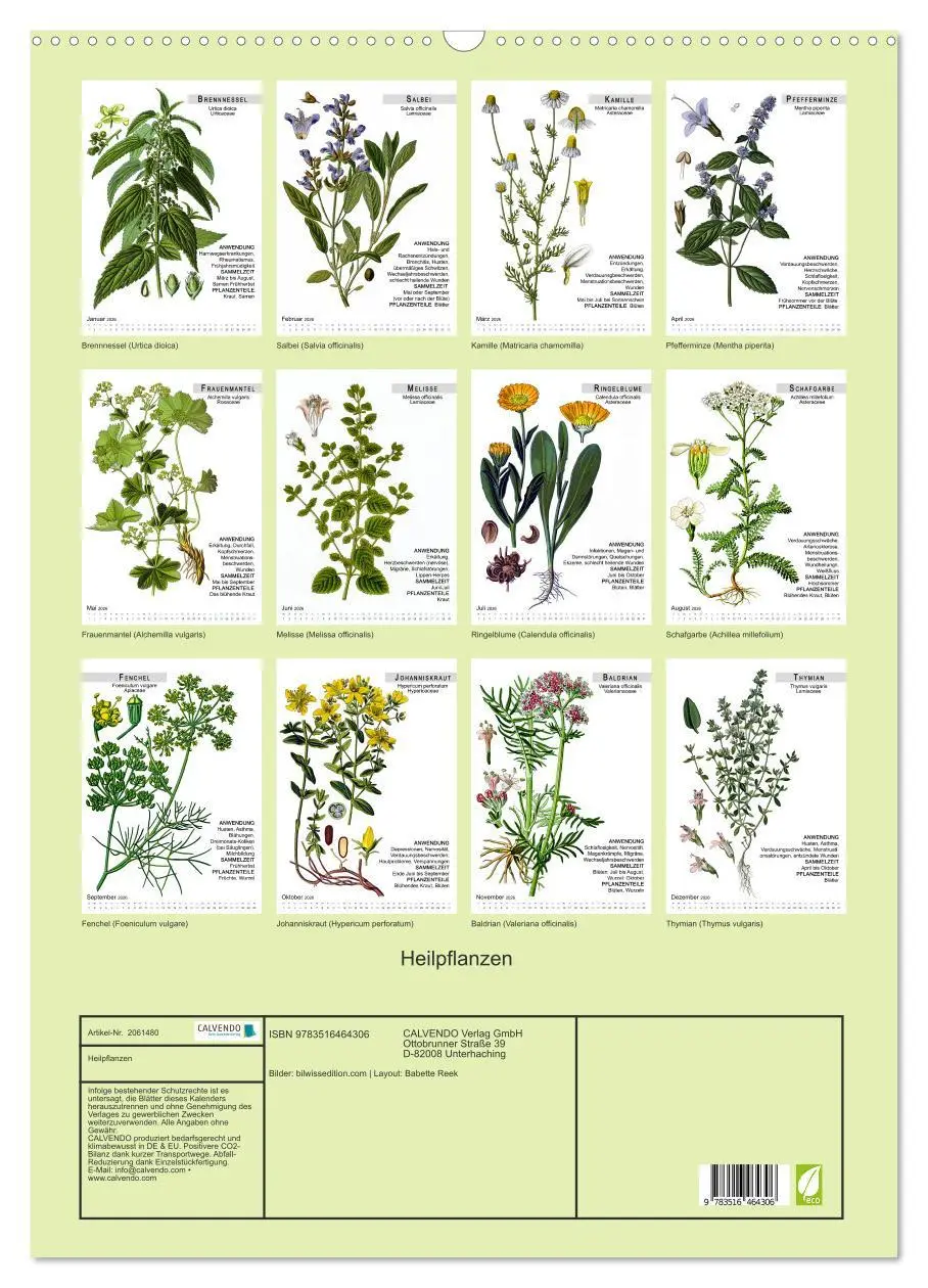 Bild: 9783516464306 | Heilpflanzen (Wandkalender 2026 DIN A2 hoch), CALVENDO Monatskalender