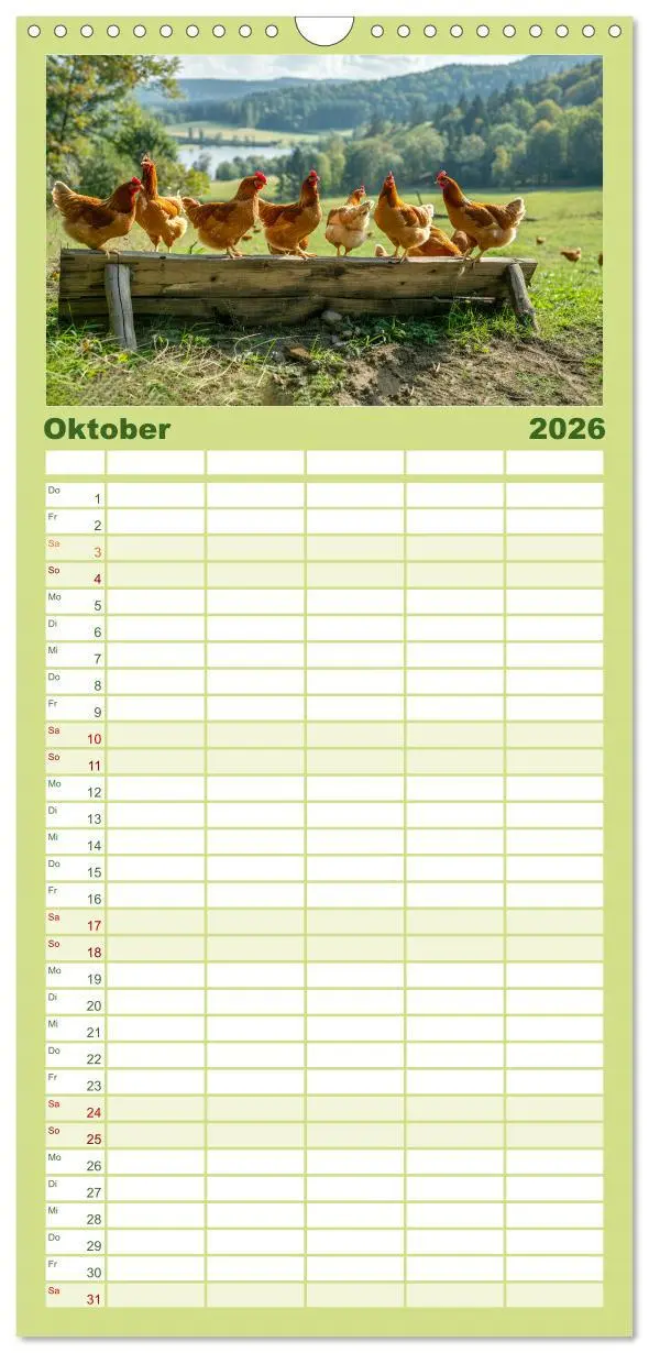 Bild: 9783516604306 | Familienplaner 2026 - Hühner Federvieh mit 5 Spalten (Wandkalender,...