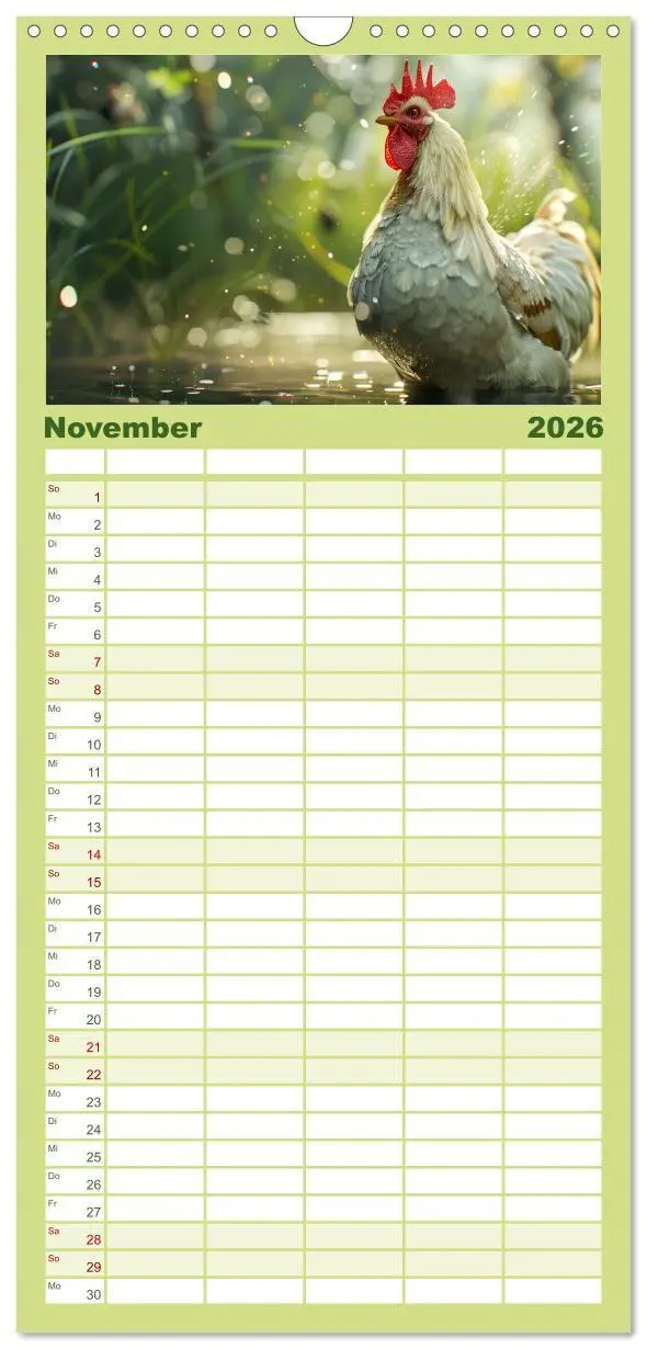 Bild: 9783516604306 | Familienplaner 2026 - Hühner Federvieh mit 5 Spalten (Wandkalender,...