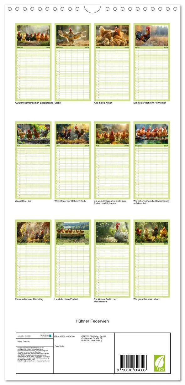 Bild: 9783516604306 | Familienplaner 2026 - Hühner Federvieh mit 5 Spalten (Wandkalender,...