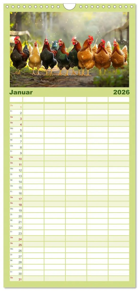 Bild: 9783516604306 | Familienplaner 2026 - Hühner Federvieh mit 5 Spalten (Wandkalender,...