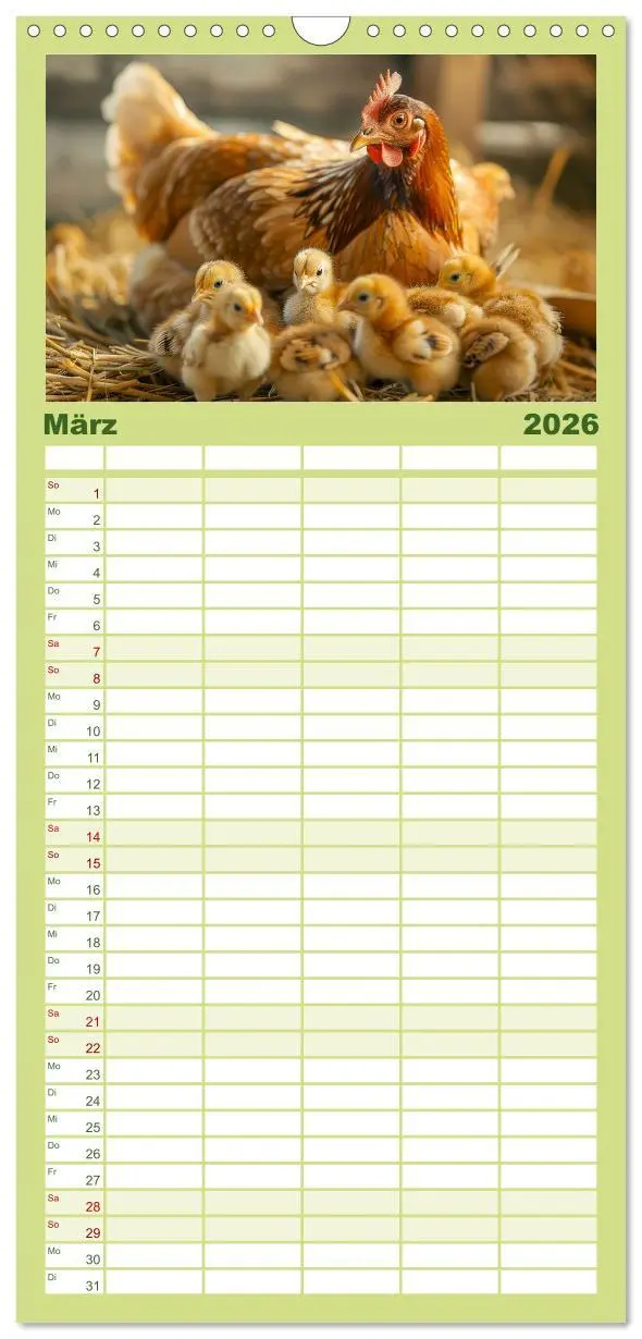 Bild: 9783516604306 | Familienplaner 2026 - Hühner Federvieh mit 5 Spalten (Wandkalender,...