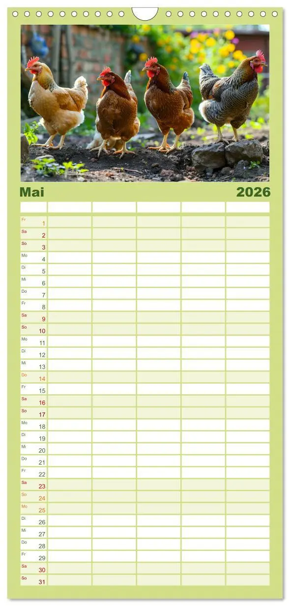 Bild: 9783516604306 | Familienplaner 2026 - Hühner Federvieh mit 5 Spalten (Wandkalender,...