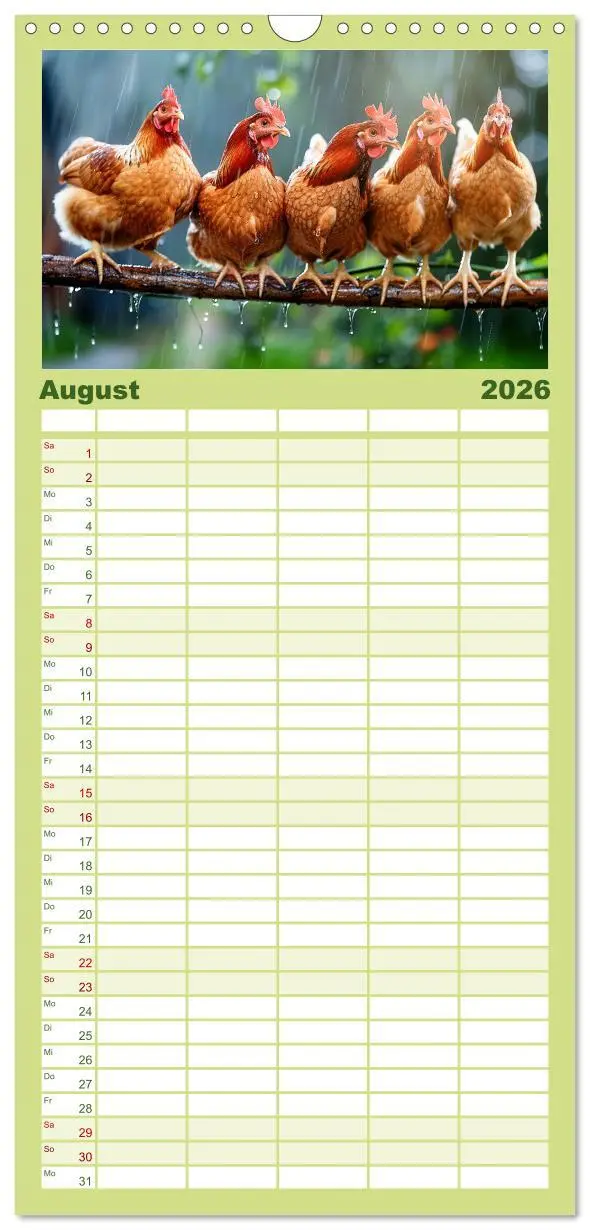 Bild: 9783516604306 | Familienplaner 2026 - Hühner Federvieh mit 5 Spalten (Wandkalender,...
