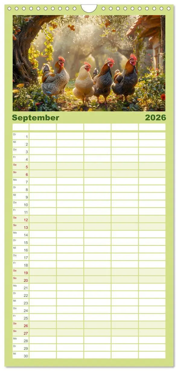 Bild: 9783516604306 | Familienplaner 2026 - Hühner Federvieh mit 5 Spalten (Wandkalender,...