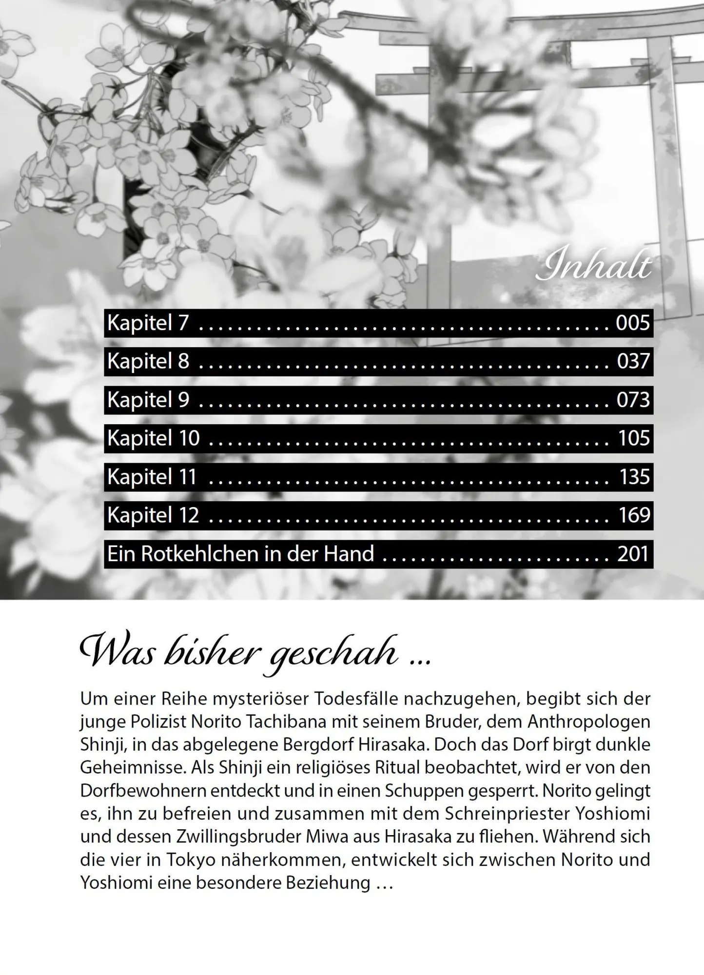 Bild: 9783741644306 | Im Schleier der Nacht 02 | Mysteriöse Morde und heiße Boys Love | Buch