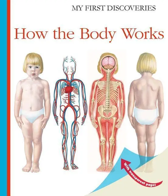 Cover: 9781851034406 | How the Body Works | Sylvaine Peyrols | Taschenbuch | Gebunden | 2016