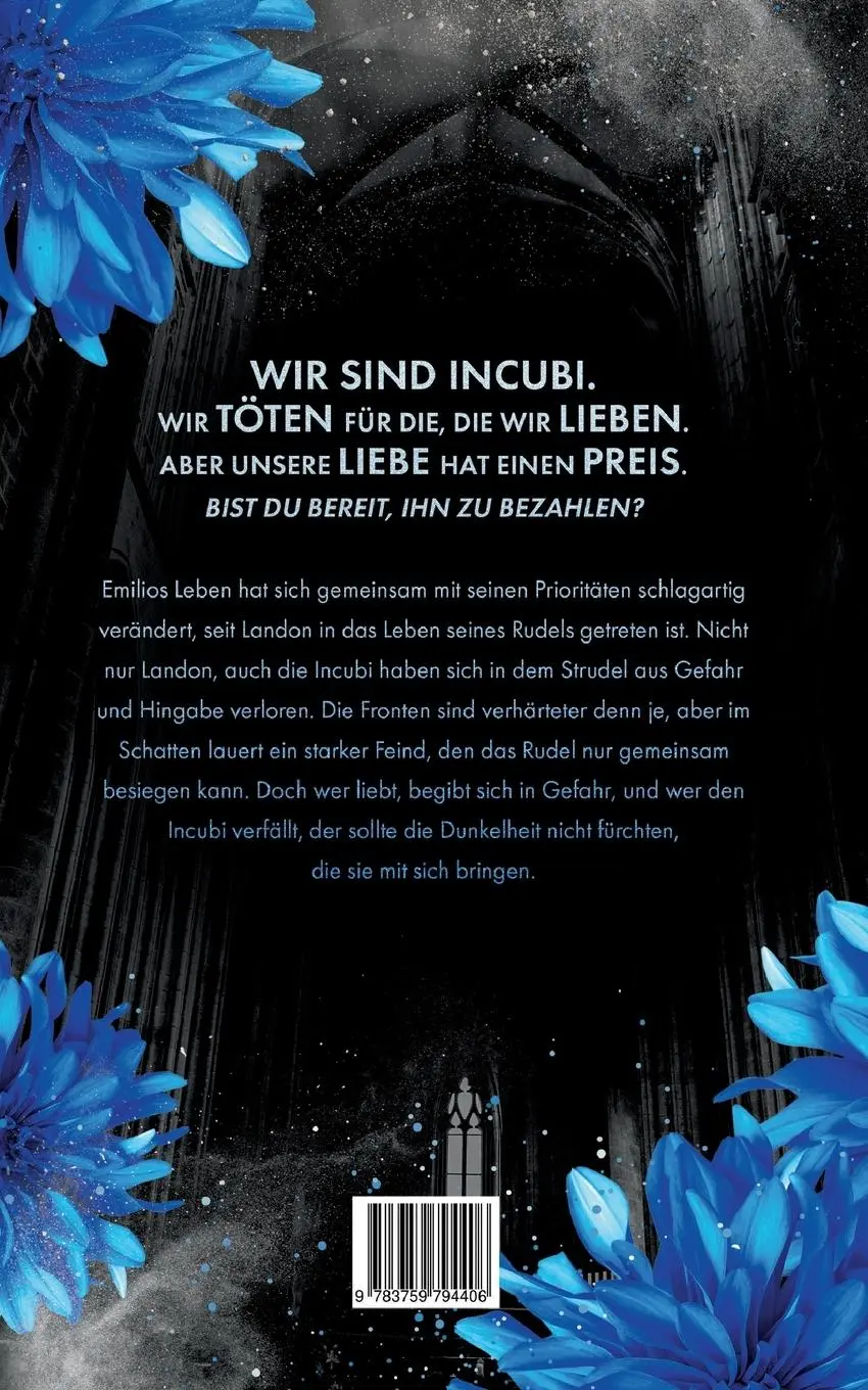 Rückseite: 9783759794406 | Beautiful Monsters | Liebe ist tödlich (Incubi Gay Romance) | Raze