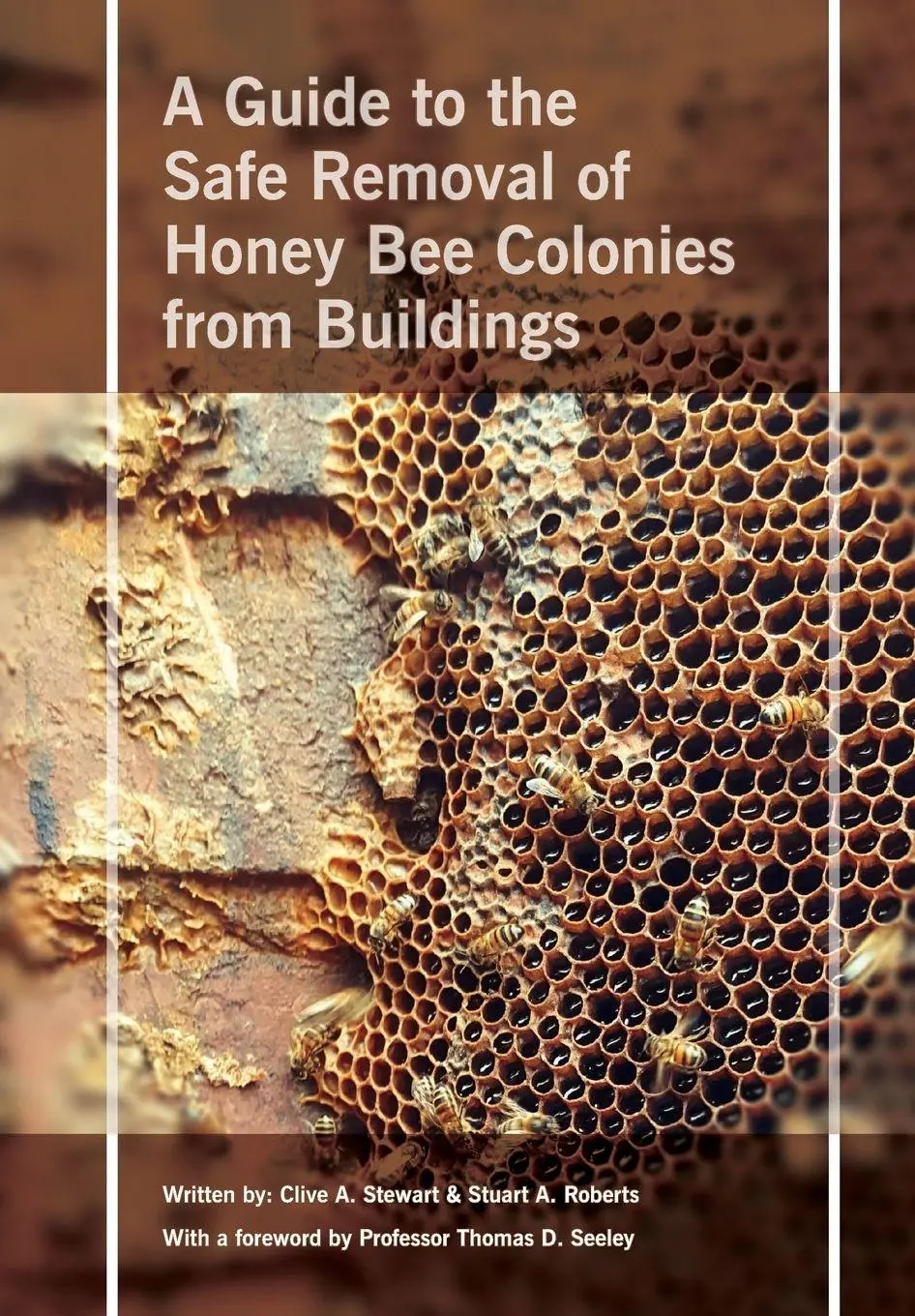 Cover: 9781914934506 | Safe Removal of Honey Bee Colonies from Buildings | Stewart (u. a.)