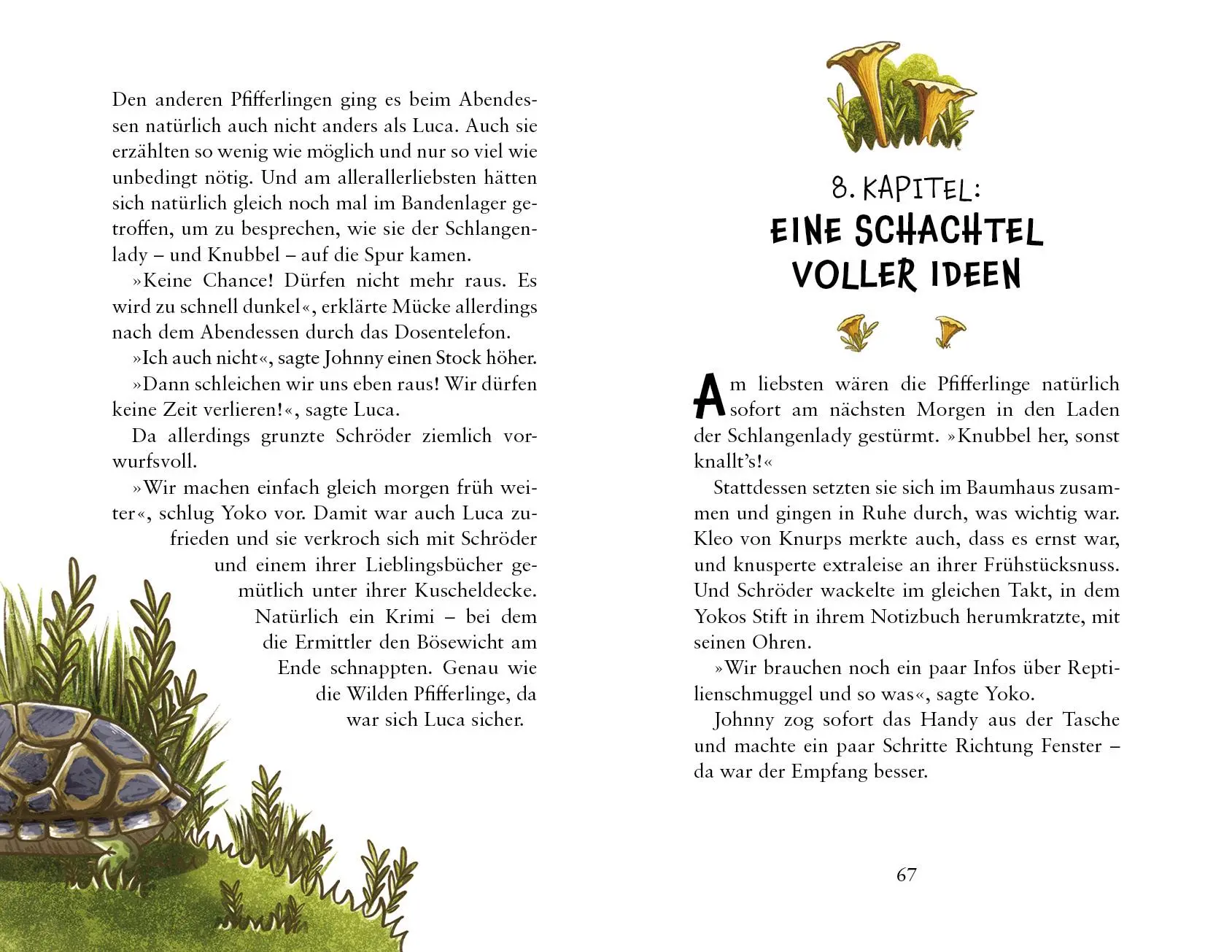 Bild: 9783423764506 | Die wilden Pfifferlinge - Schildkrötenalarm | Judith Allert | Buch