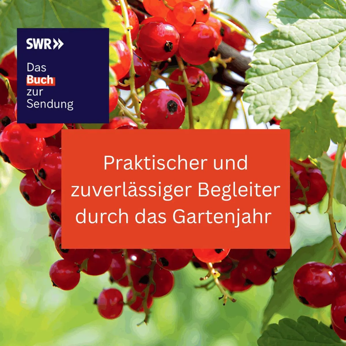Bild: 9783735854506 | Durchs Jahr 2027 mit KAFFEE ODER TEE | Redaktion Kaffee oder Tee
