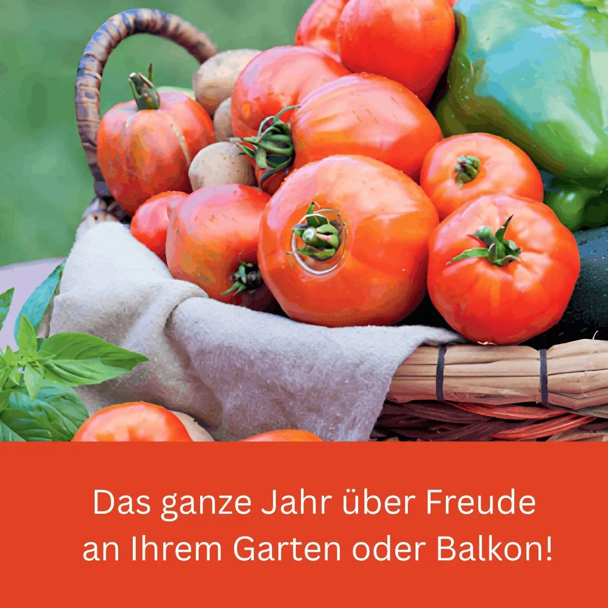 Bild: 9783735854506 | Durchs Jahr 2027 mit KAFFEE ODER TEE | Redaktion Kaffee oder Tee