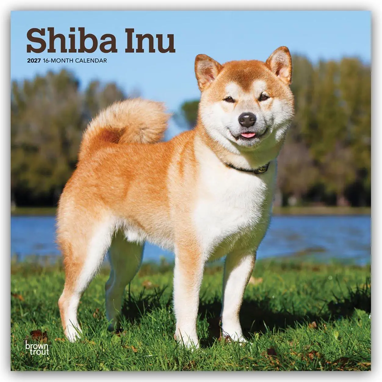 Cover: 9798330714506 | Shiba Inu - Shiba 2027 - 16-Monatskalender | Browntrout Publishers
