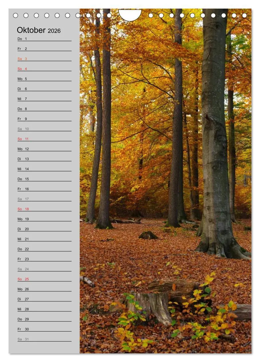 Bild: 9783516434606 | Traumhaftes Siegerland 2026 (Wandkalender 2026 DIN A4 hoch),...