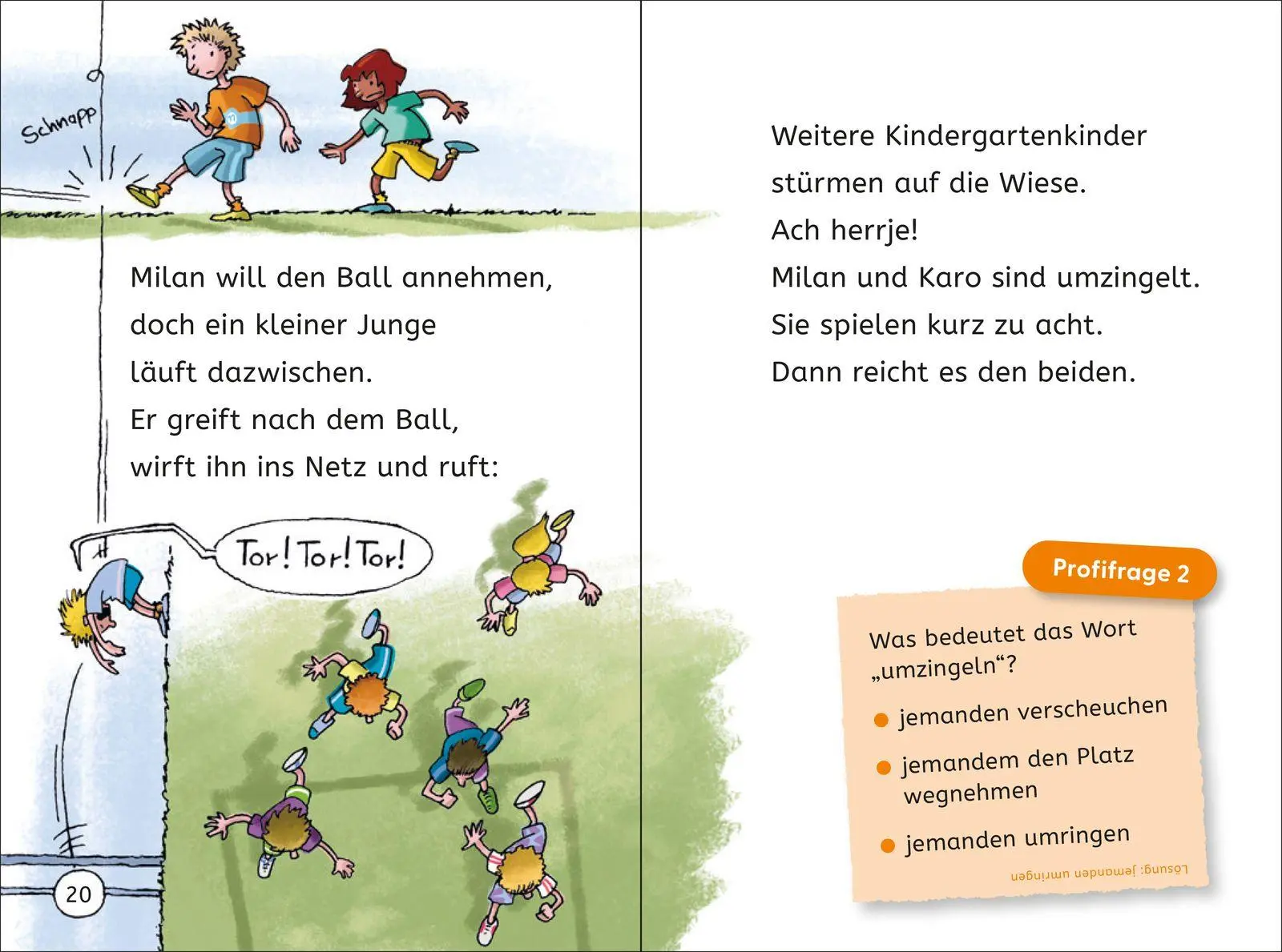 Bild: 9783737374606 | Leseprofis - Voll im Fußballfieber!, 1. Klasse (Doppelband) | Stehr