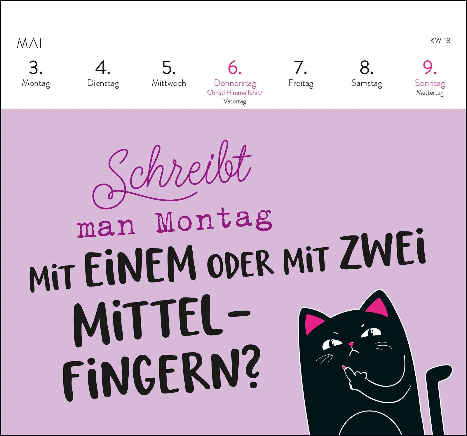 Bild: 4036442014806 | Postkartenkalender 2027: Falls mich jemand sucht: Ich bin im Eimer