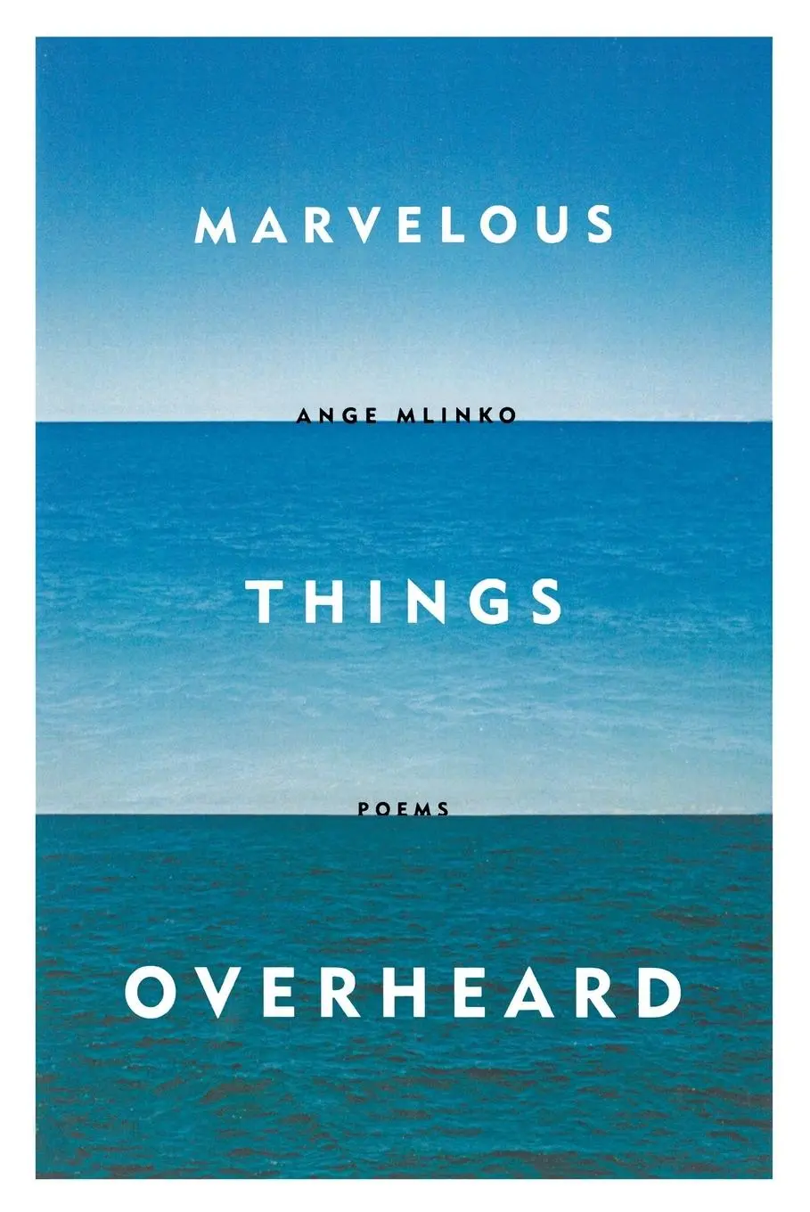 Cover: 9780374534806 | Marvelous Things Overheard | Ange Mlinko | Taschenbuch | Englisch