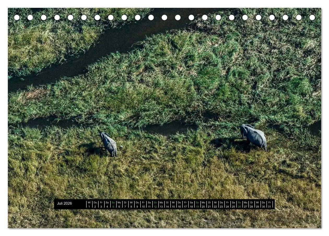 Bild: 9783516034806 | Afrikas Tierwelt - Wilde Elefanten (Tischkalender 2026 DIN A5...