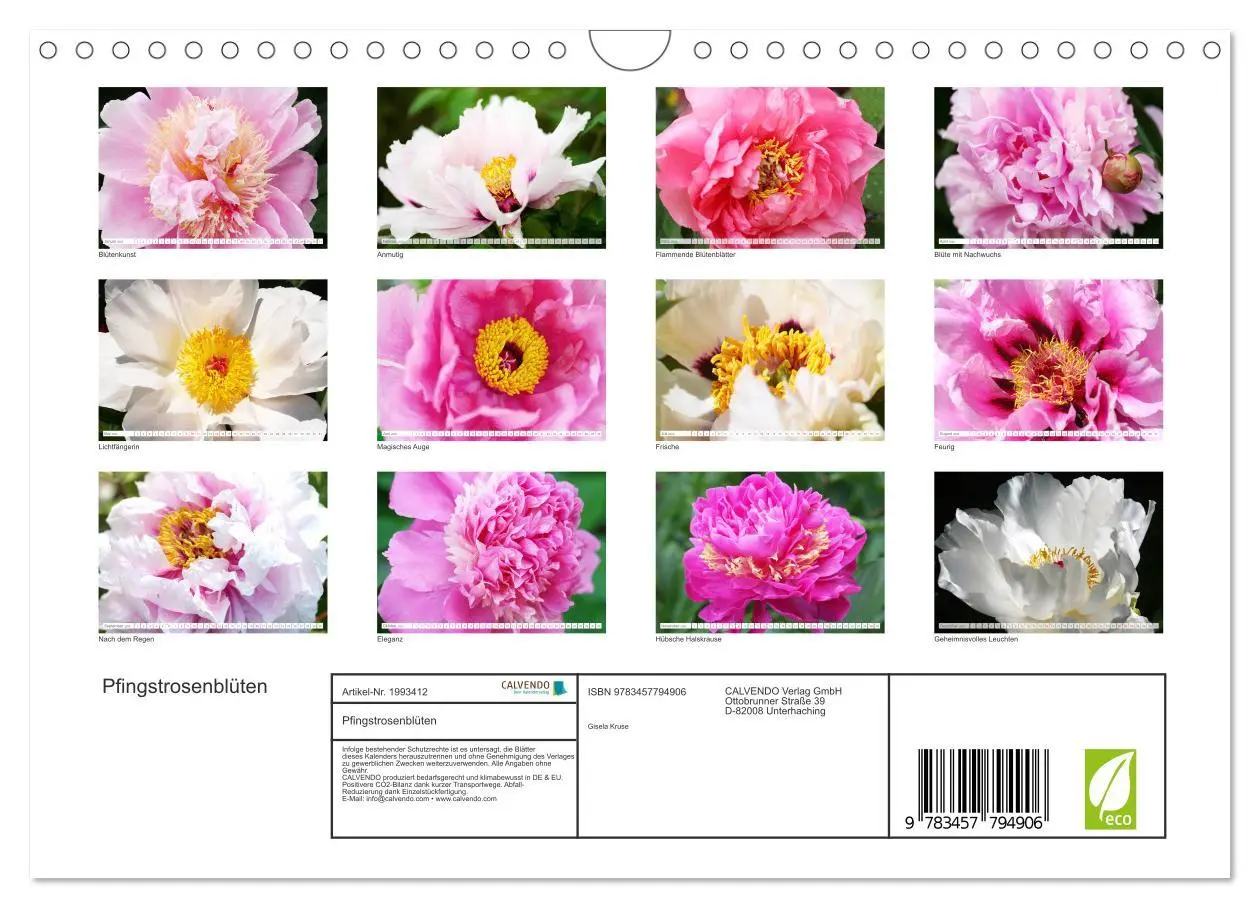 Bild: 9783457794906 | Pfingstrosenblüten (Wandkalender 2026 DIN A4 quer), CALVENDO...