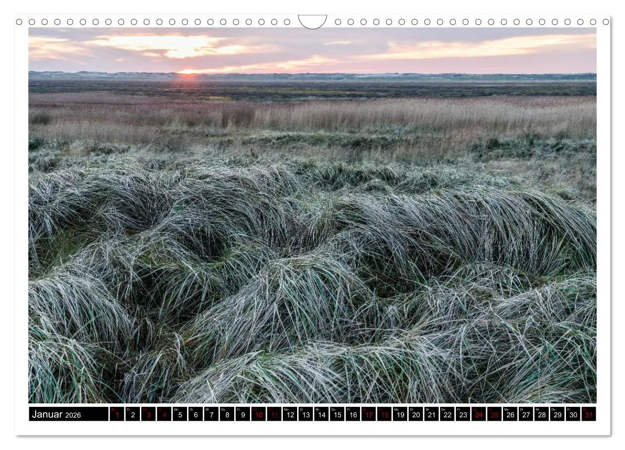 Bild: 9783457864906 | St. Peter-Ording - Natur pur (Wandkalender 2026 DIN A3 quer),...