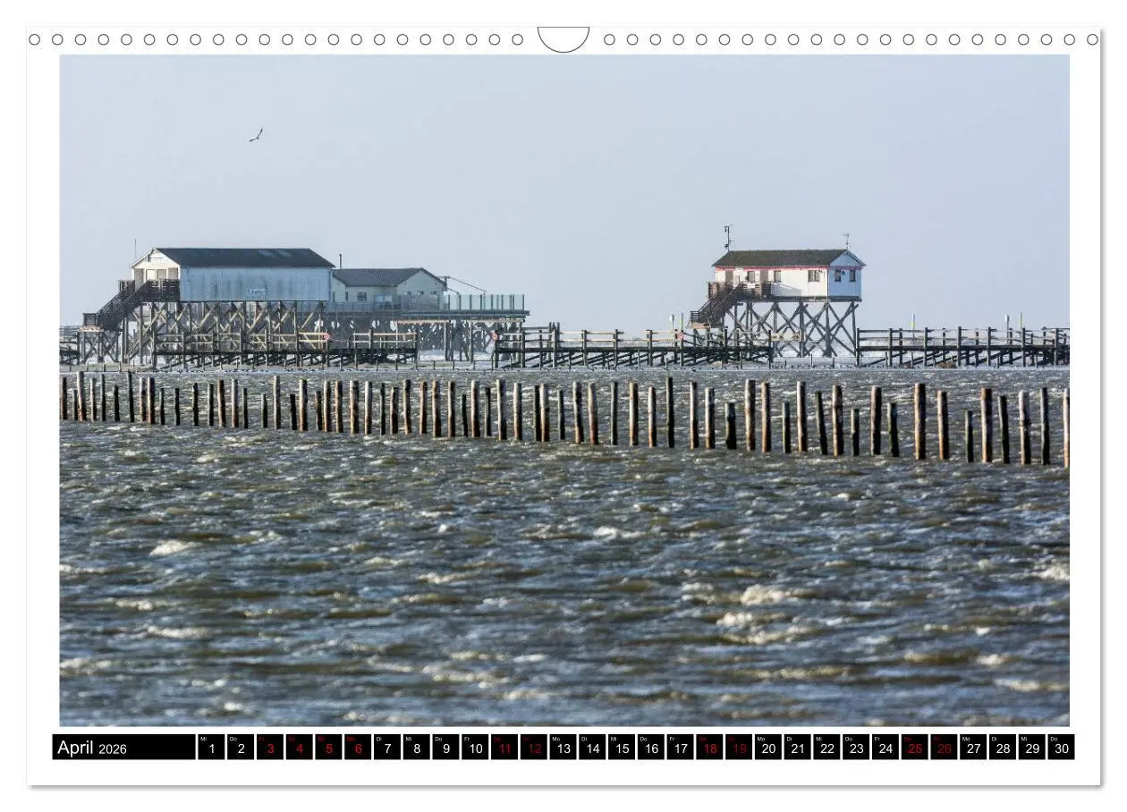 Bild: 9783457864906 | St. Peter-Ording - Natur pur (Wandkalender 2026 DIN A3 quer),...