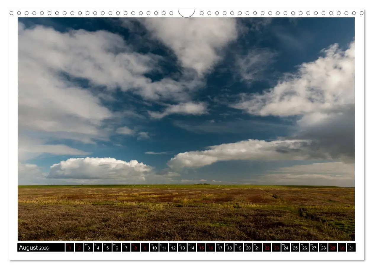 Bild: 9783457864906 | St. Peter-Ording - Natur pur (Wandkalender 2026 DIN A3 quer),...