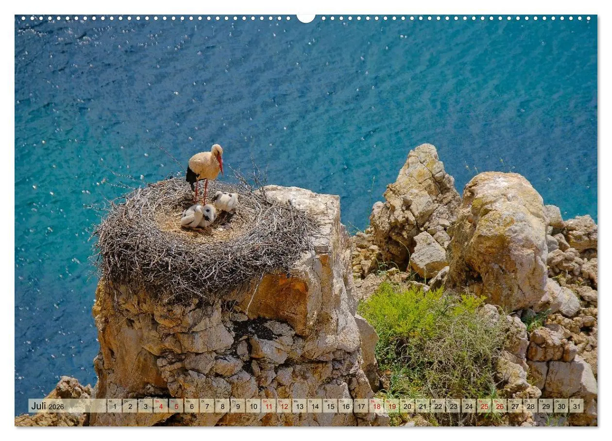 Bild: 9783516605006 | Fischerweg Portugal (hochwertiger Premium Wandkalender 2026 DIN A2...