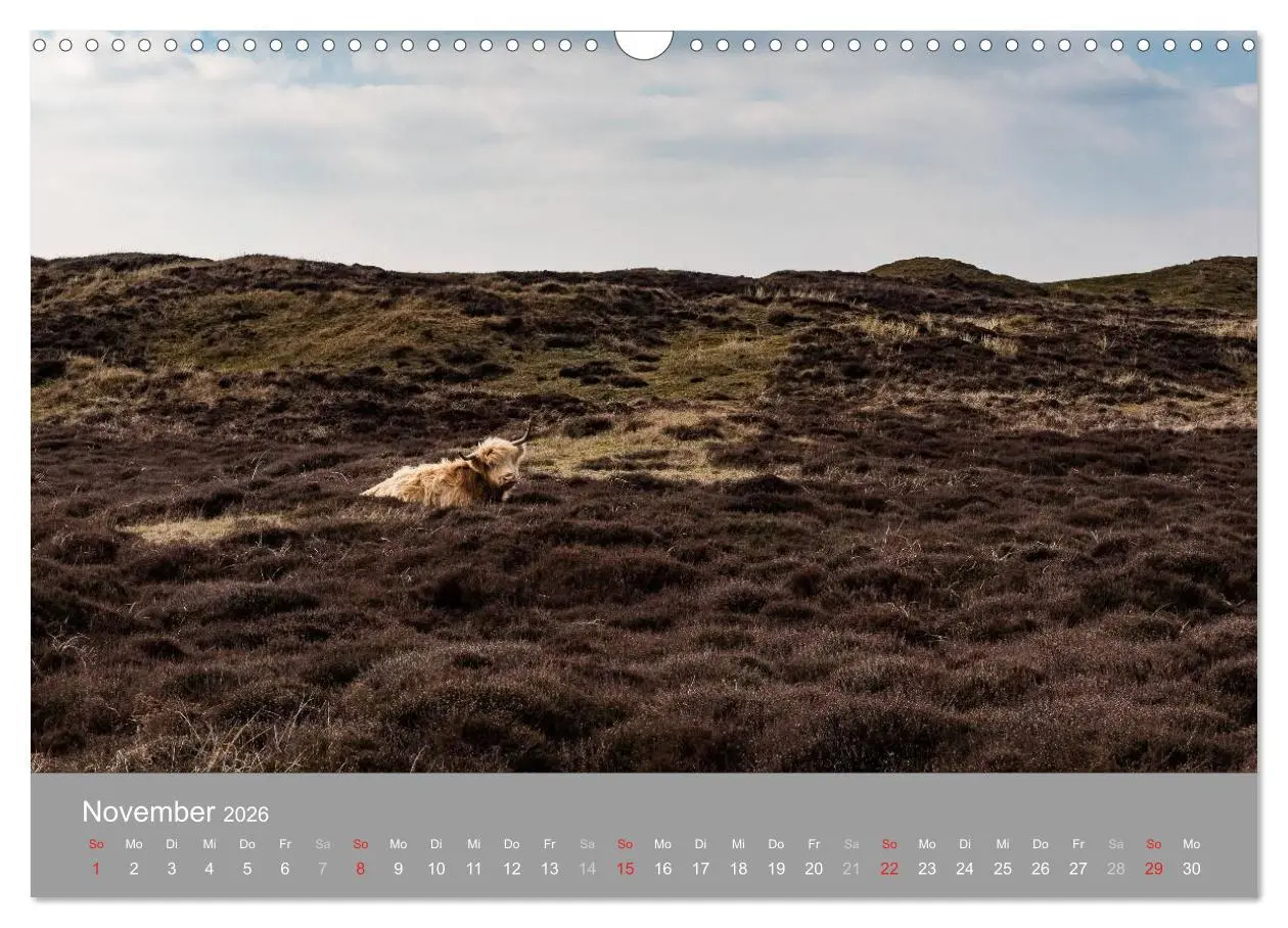 Bild: 9783457985106 | Texel - Meine Insel (Wandkalender 2026 DIN A3 quer), CALVENDO...
