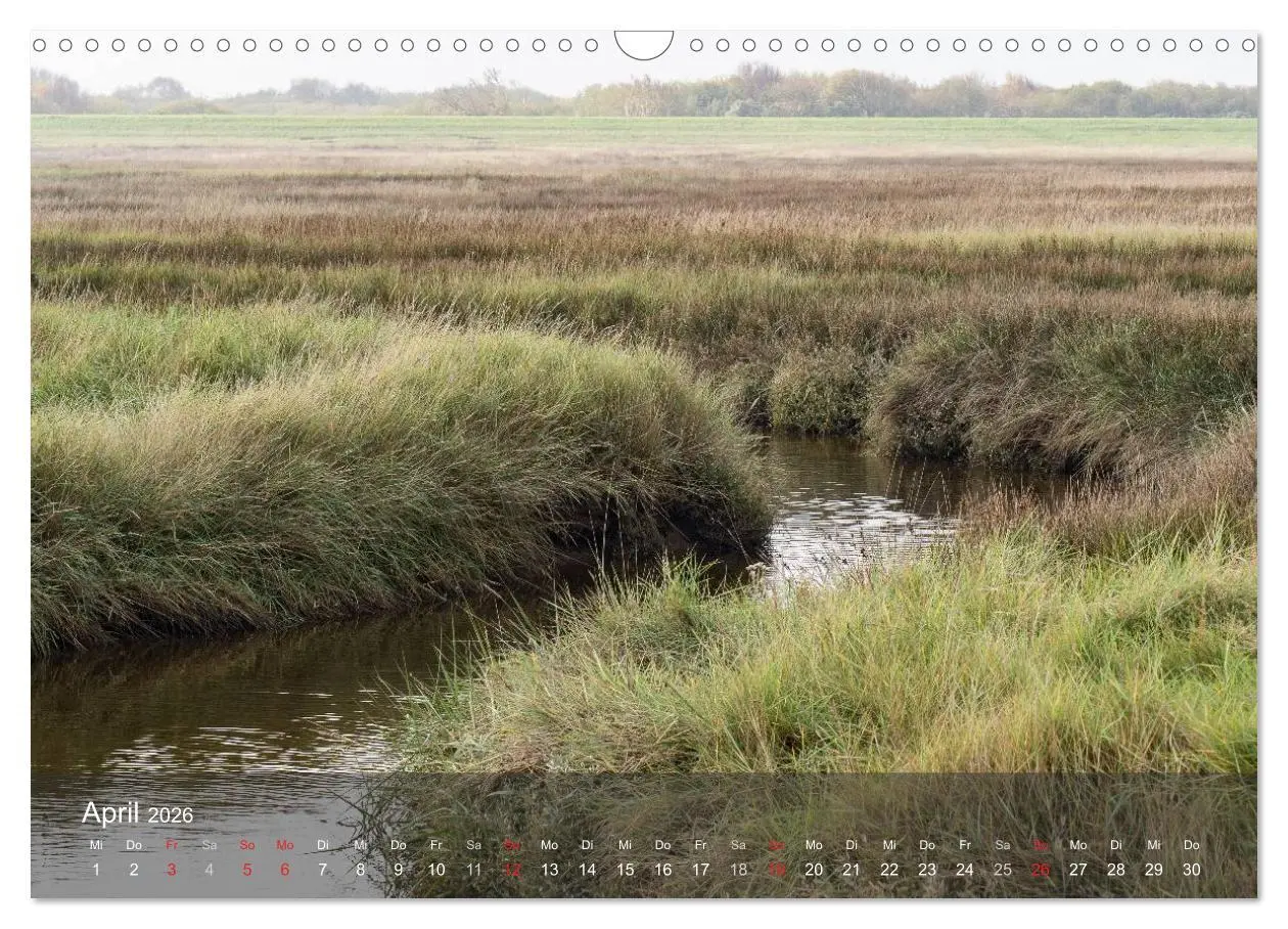 Bild: 9783457985106 | Texel - Meine Insel (Wandkalender 2026 DIN A3 quer), CALVENDO...