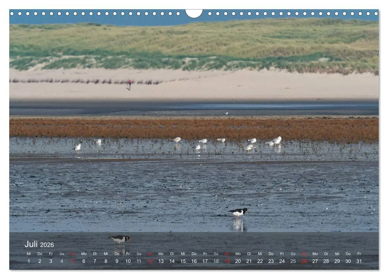 Bild: 9783457985106 | Texel - Meine Insel (Wandkalender 2026 DIN A3 quer), CALVENDO...