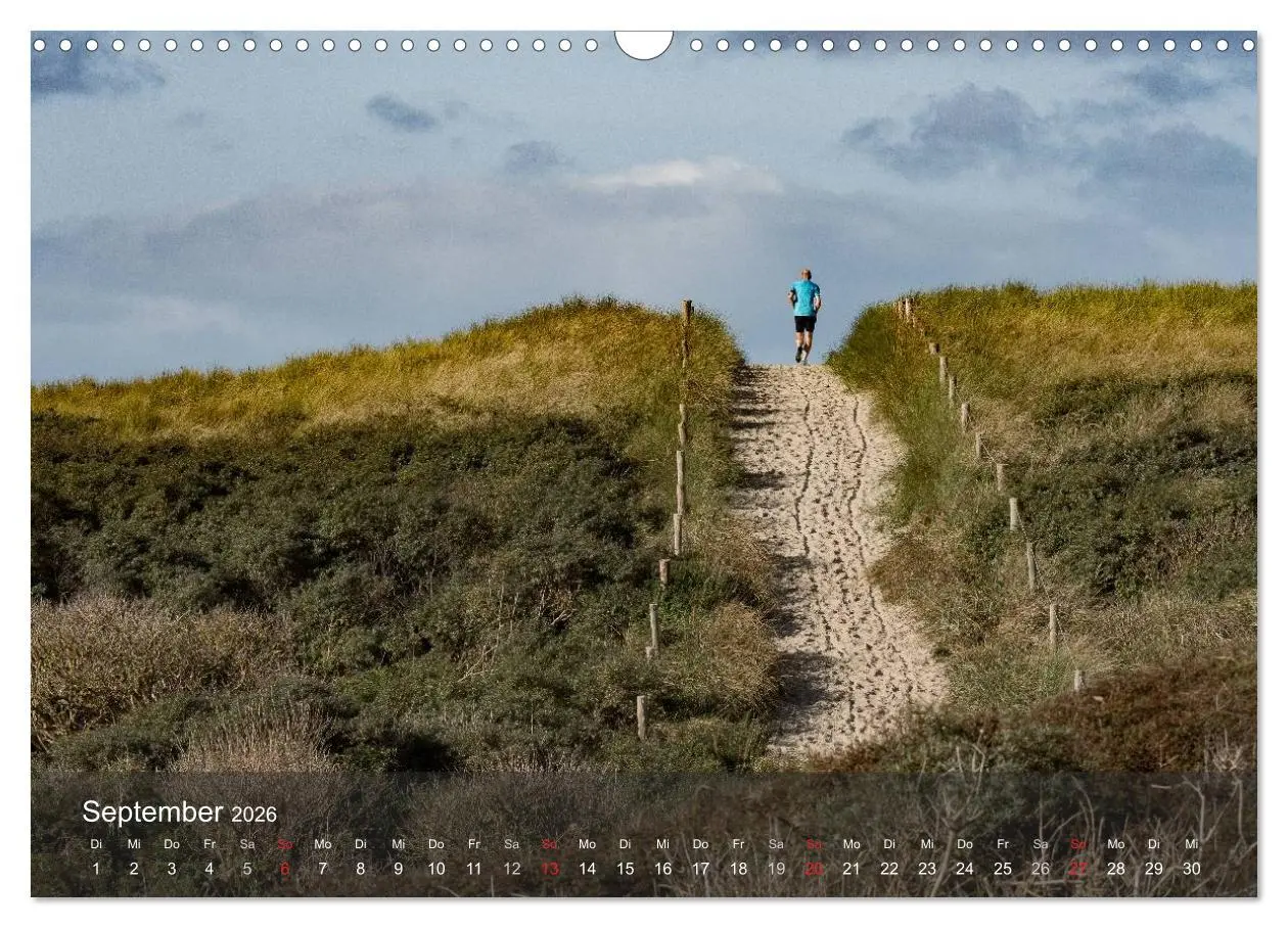 Bild: 9783457985106 | Texel - Meine Insel (Wandkalender 2026 DIN A3 quer), CALVENDO...