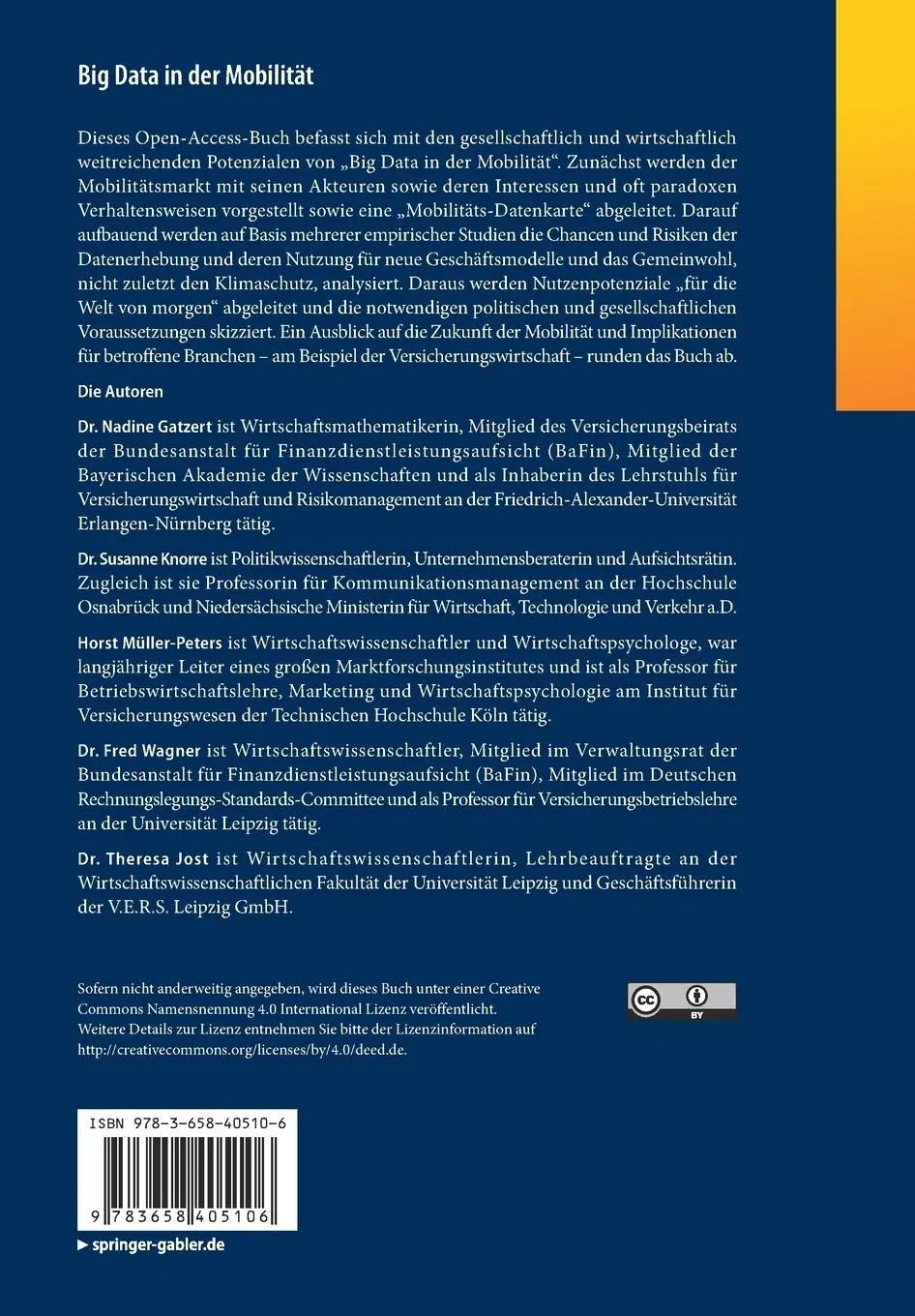Rückseite: 9783658405106 | Big Data in der Mobilität | Nadine Gatzert (u. a.) | Taschenbuch | vii