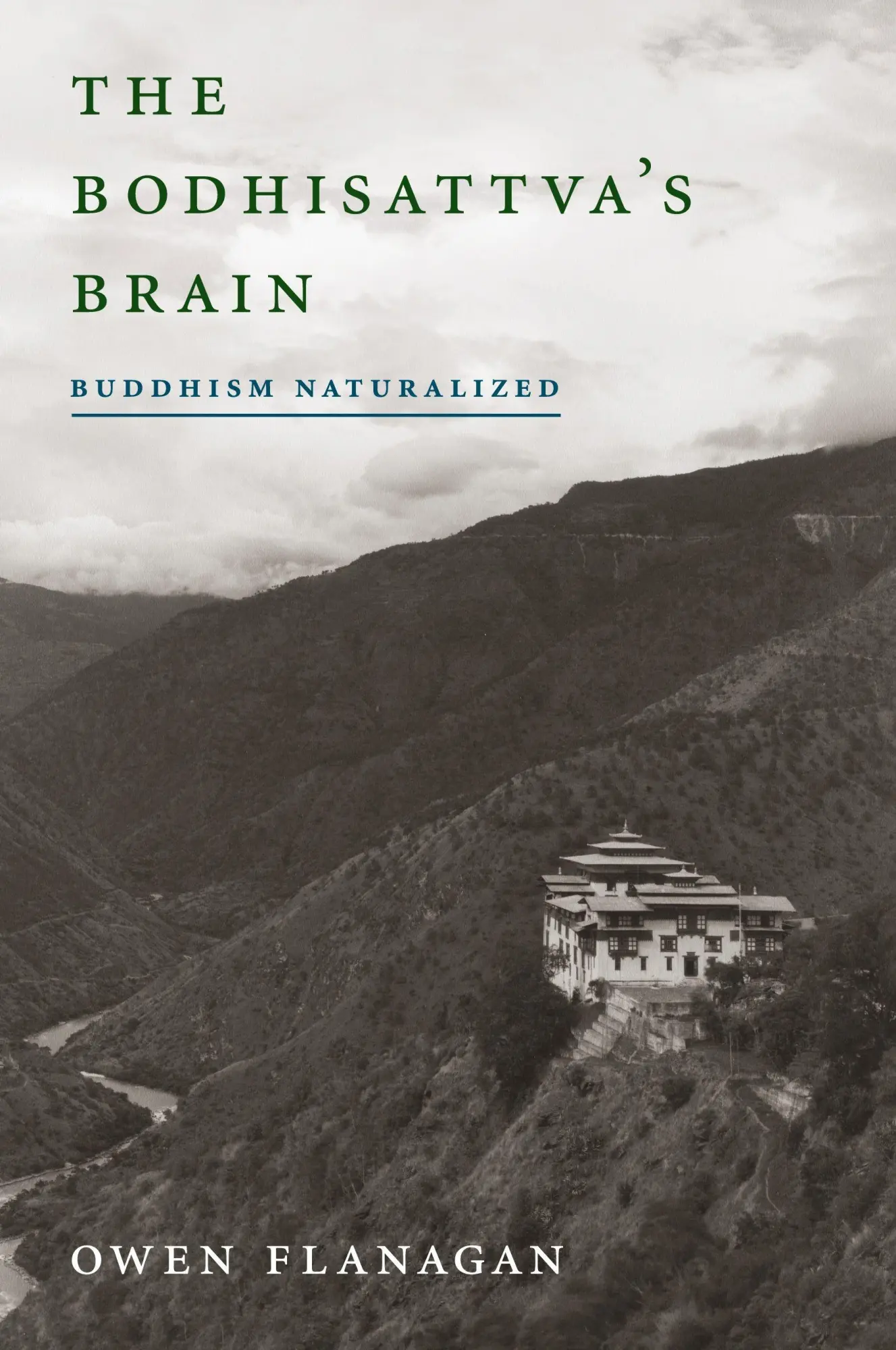 Cover: 9780262525206 | The Bodhisattva's Brain | Buddhism Naturalized | Owen Flanagan | Buch