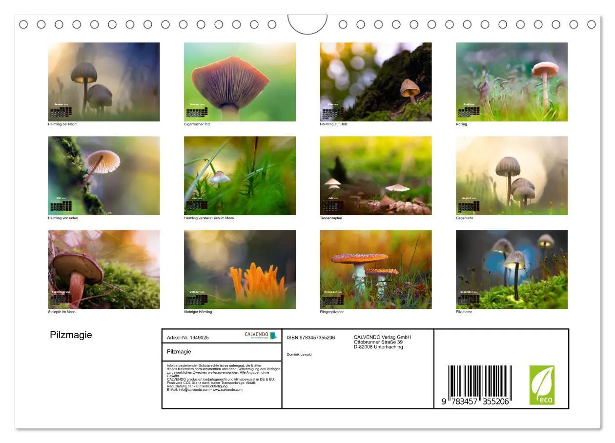 Bild: 9783457355206 | Pilzmagie (Wandkalender 2026 DIN A4 quer), CALVENDO Monatskalender