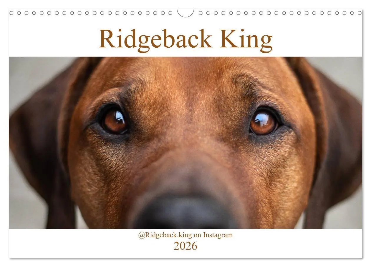 Cover: 9783457805206 | Ridgeback King (Wandkalender 2026 DIN A3 quer), CALVENDO...