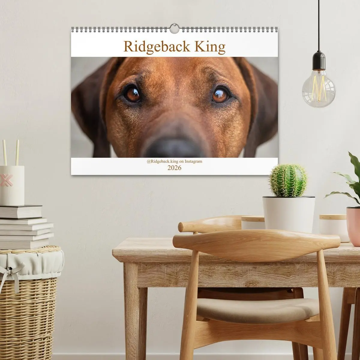Bild: 9783457805206 | Ridgeback King (Wandkalender 2026 DIN A3 quer), CALVENDO...