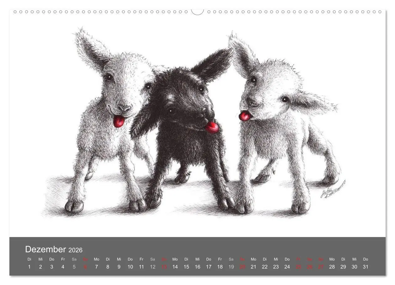Bild: 9783516205206 | owls &amp; friends 2026 (Wandkalender 2026 DIN A2 quer), CALVENDO...